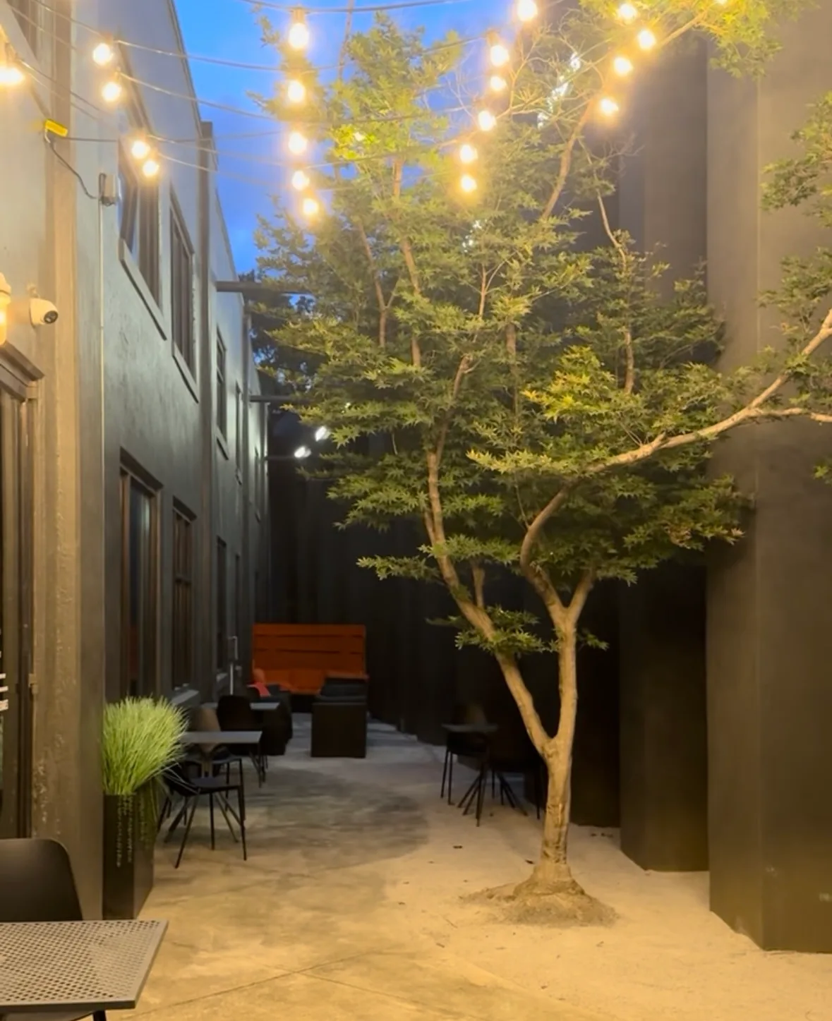 The outdoor patio at Lee's Coffee at dusk, with string lights over cafe tables